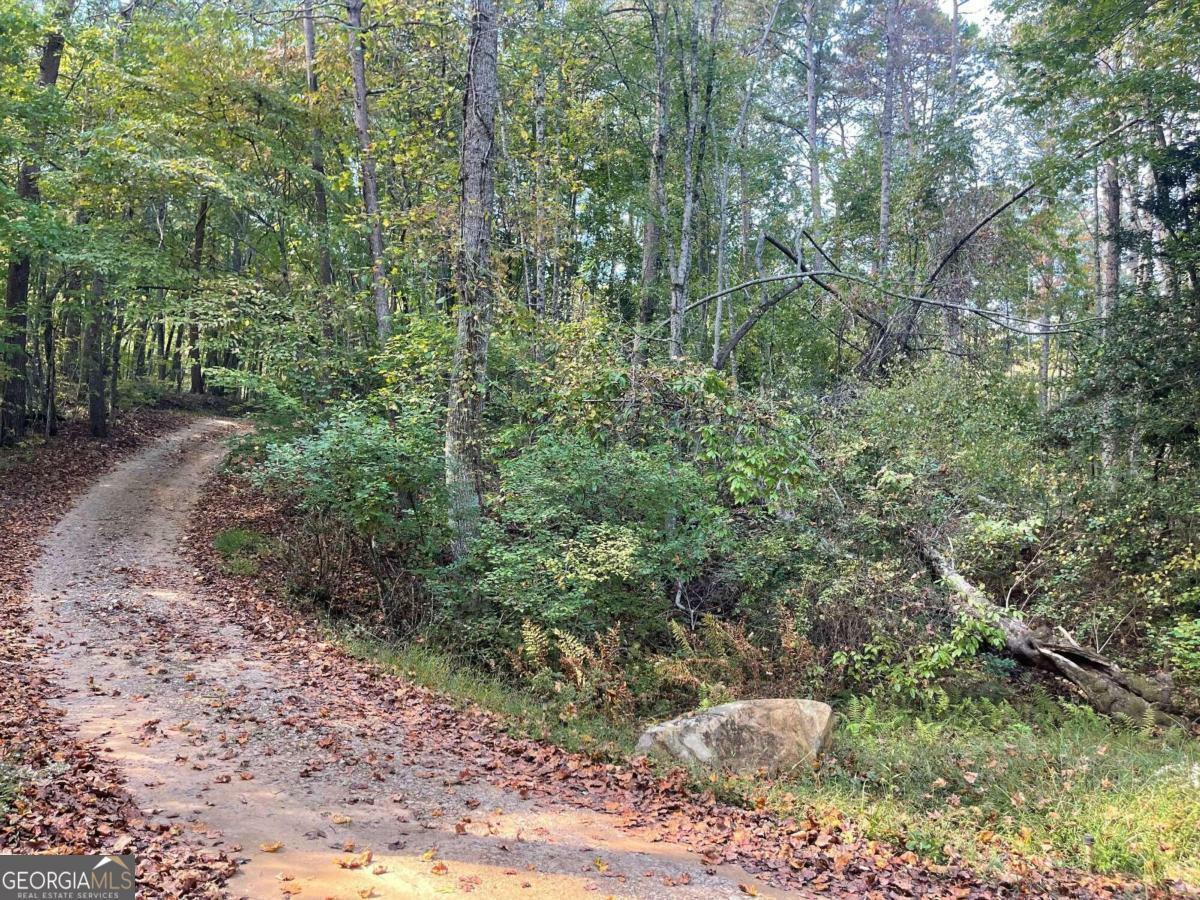 Property Photo:  Tr 2 Number 20 Mine Rd  GA 30555 