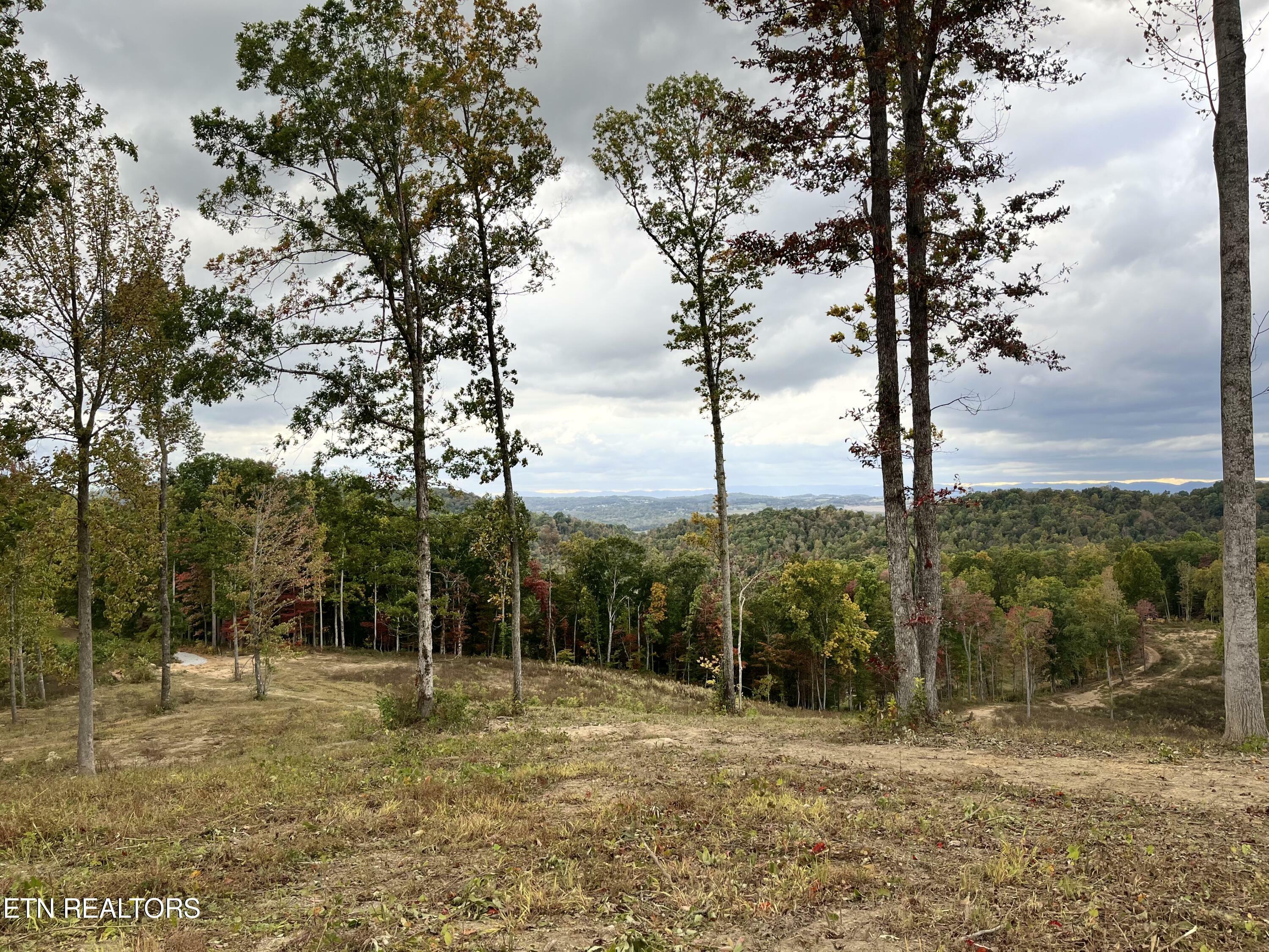 Property Photo:  Little Sycamore Rd  TN 37879 