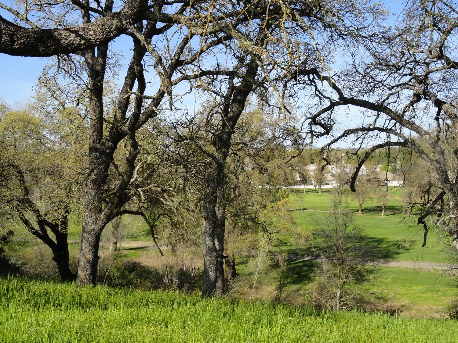 Property Photo: 2063 Greenbriar Road CA 95252