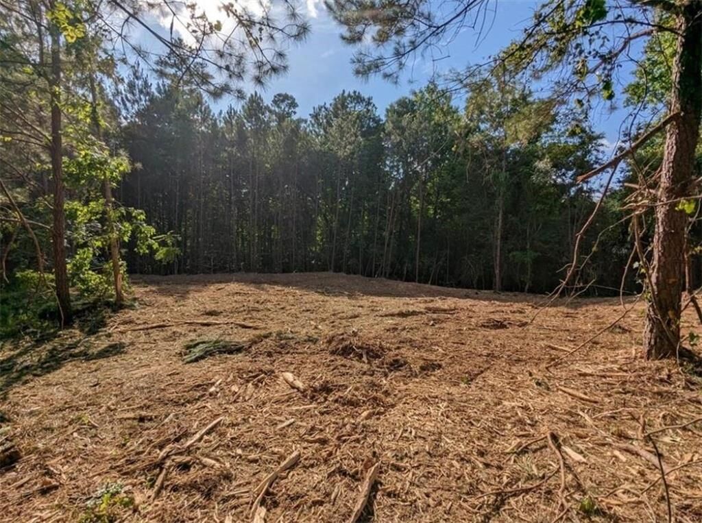 Property Photo:  0 Granada Drive  GA 30349 
