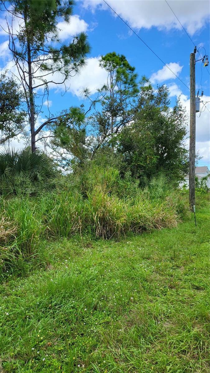 Property Photo: 25 Evaro Drive FL 33954