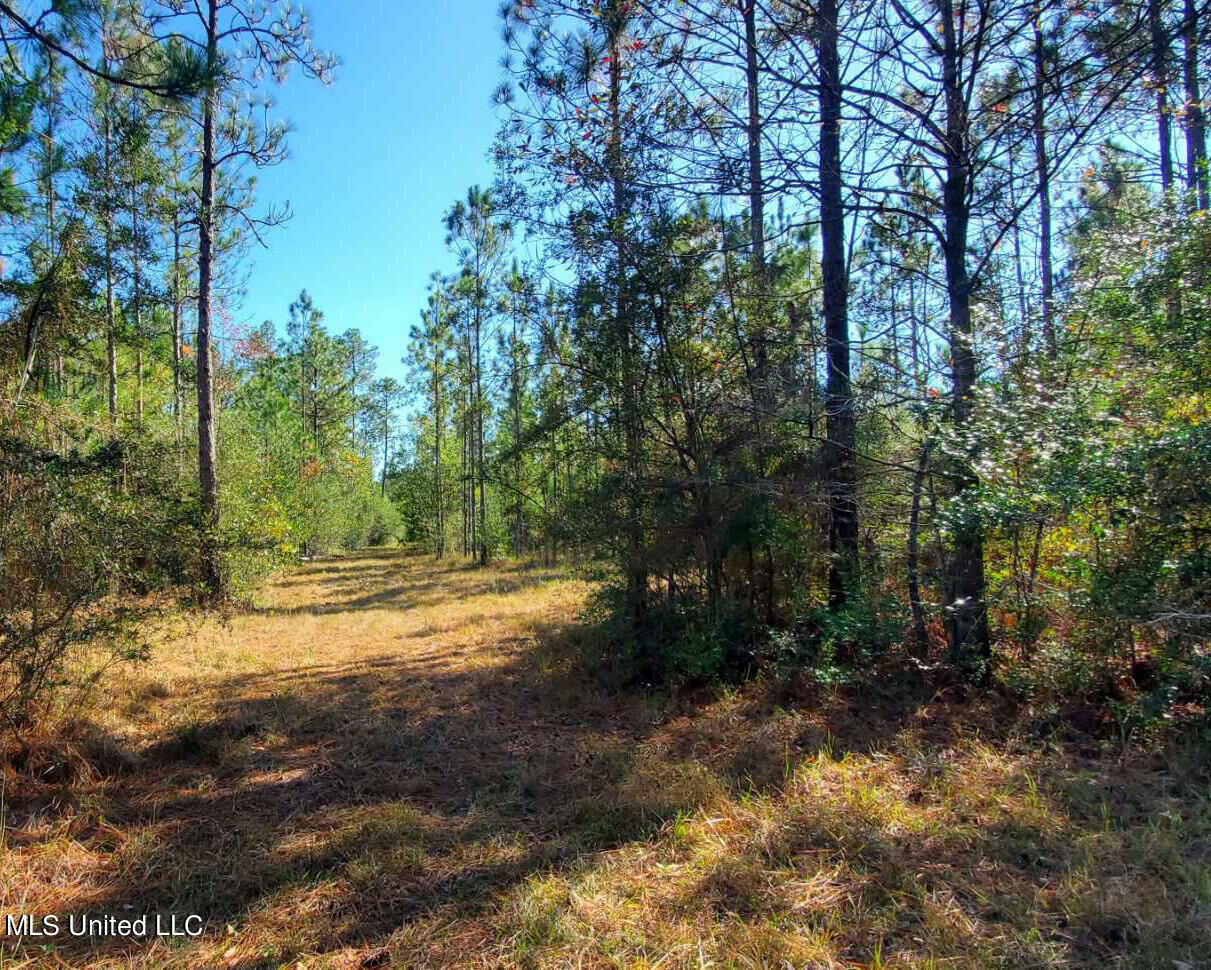 Property Photo:  000 Tim Bradley Road  MS 39574 