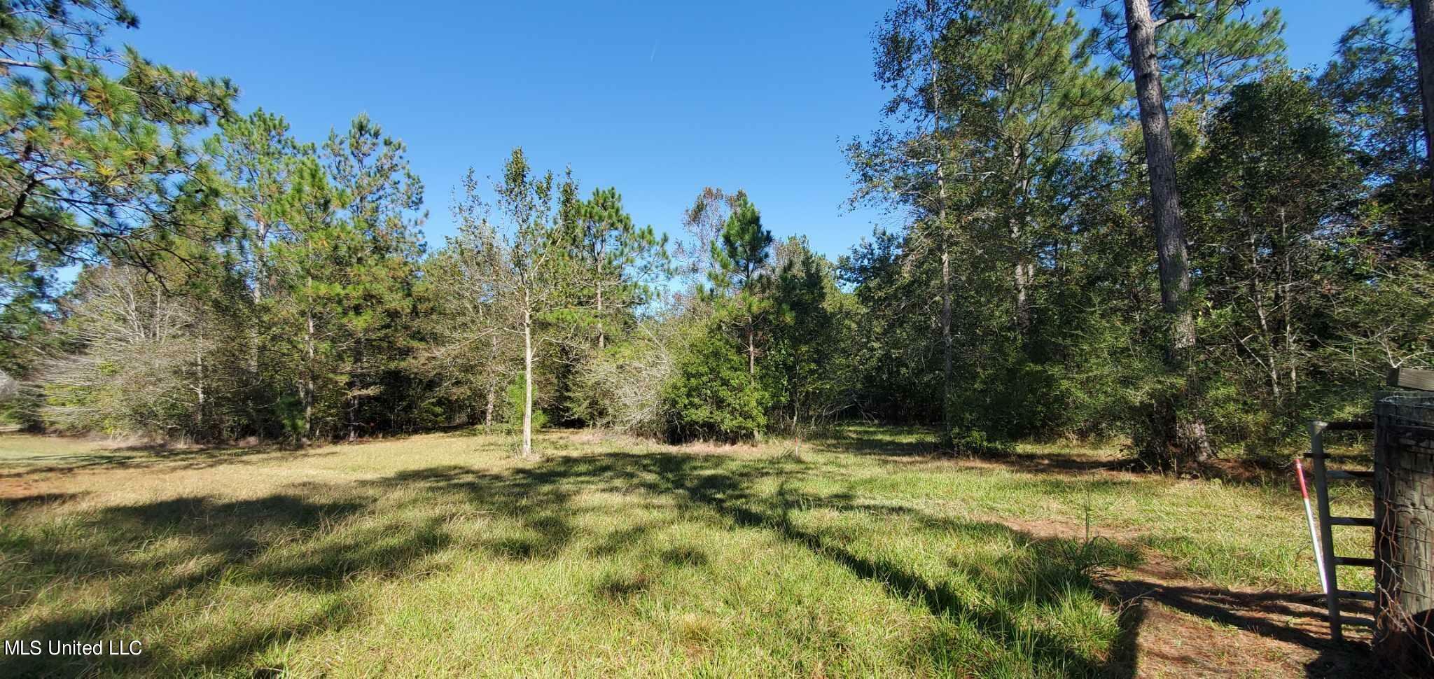 Property Photo:  000 Tim Bradley Road  MS 39574 