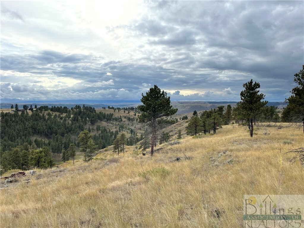 Property Photo:  45 Two Paw  MT 59019 