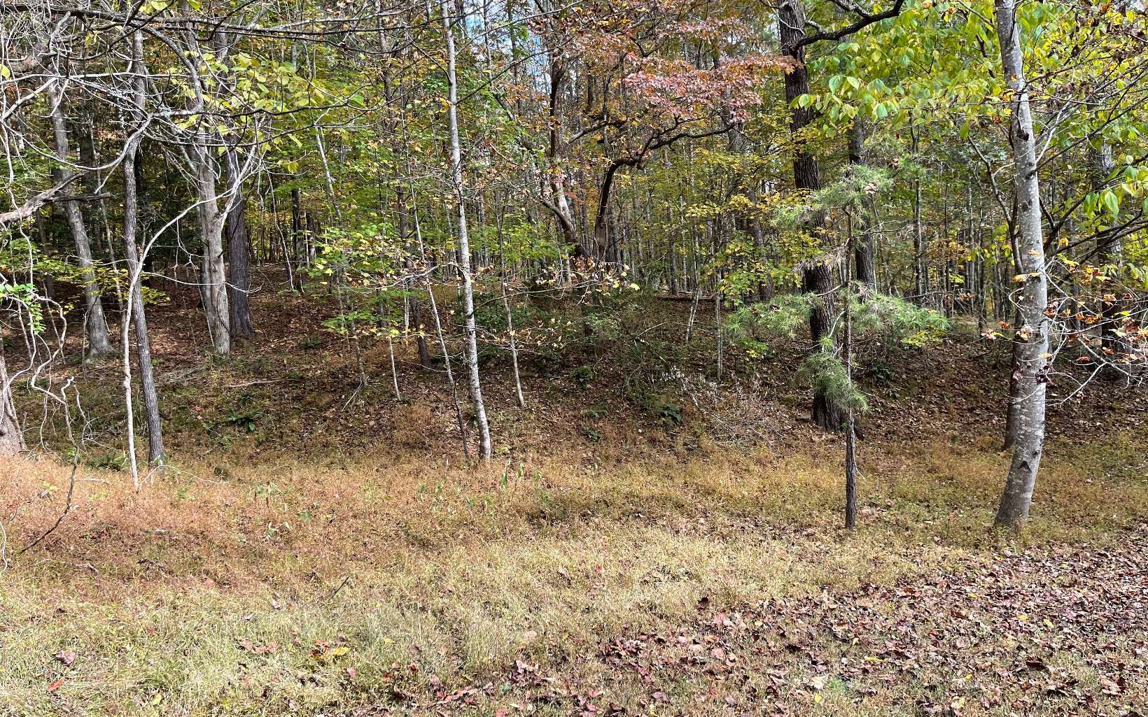 Property Photo:  Tract Pine Trail  NC 28909 