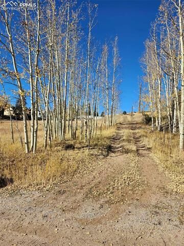 Property Photo:  L15-19 B34 Crystal Street  CO 80813 