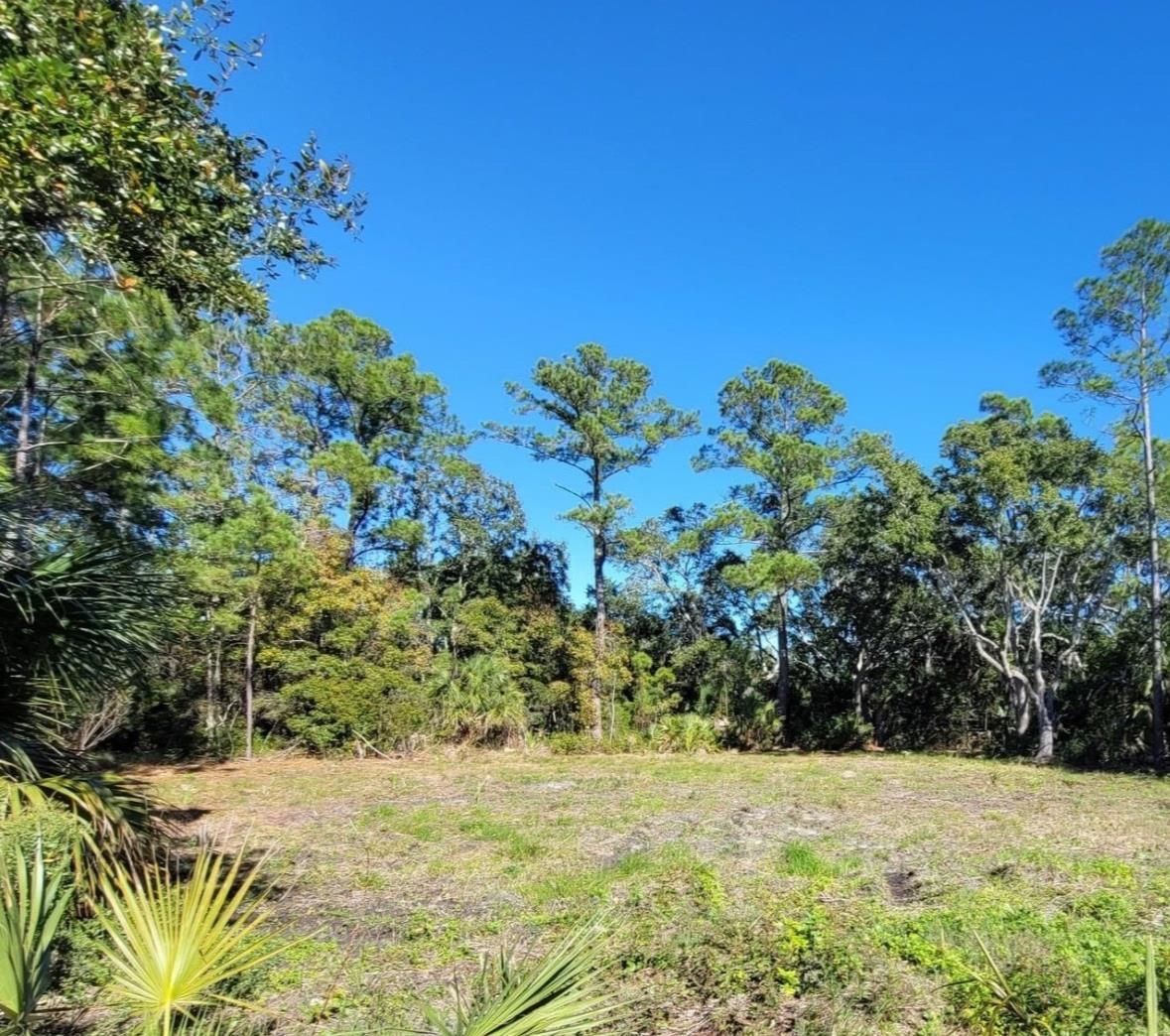 Property Photo:  Lot 5 Blue Dolphin Drive 2  FL 32327 