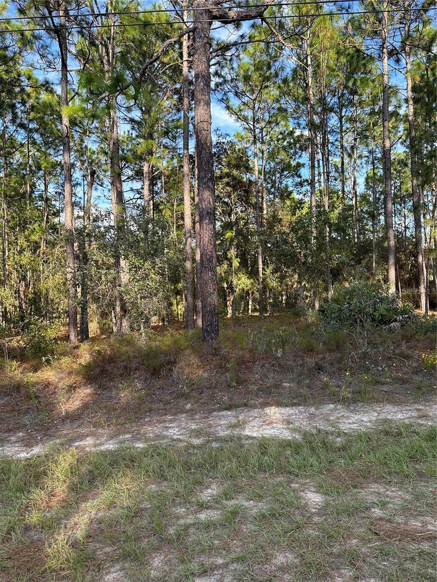 Property Photo:  7811 N Vivian Way  FL 34434 