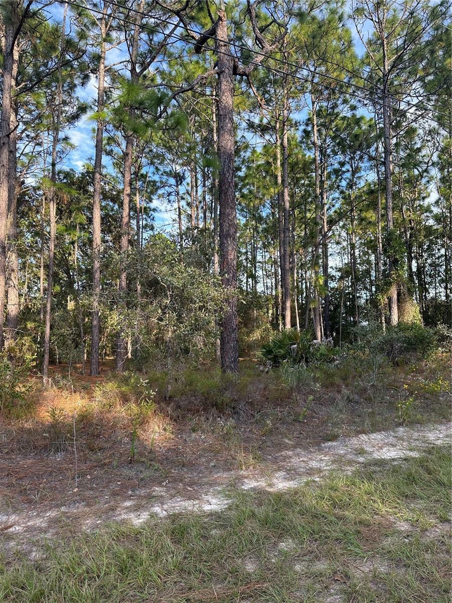 Property Photo:  7827 N Vivian Way  FL 34434 