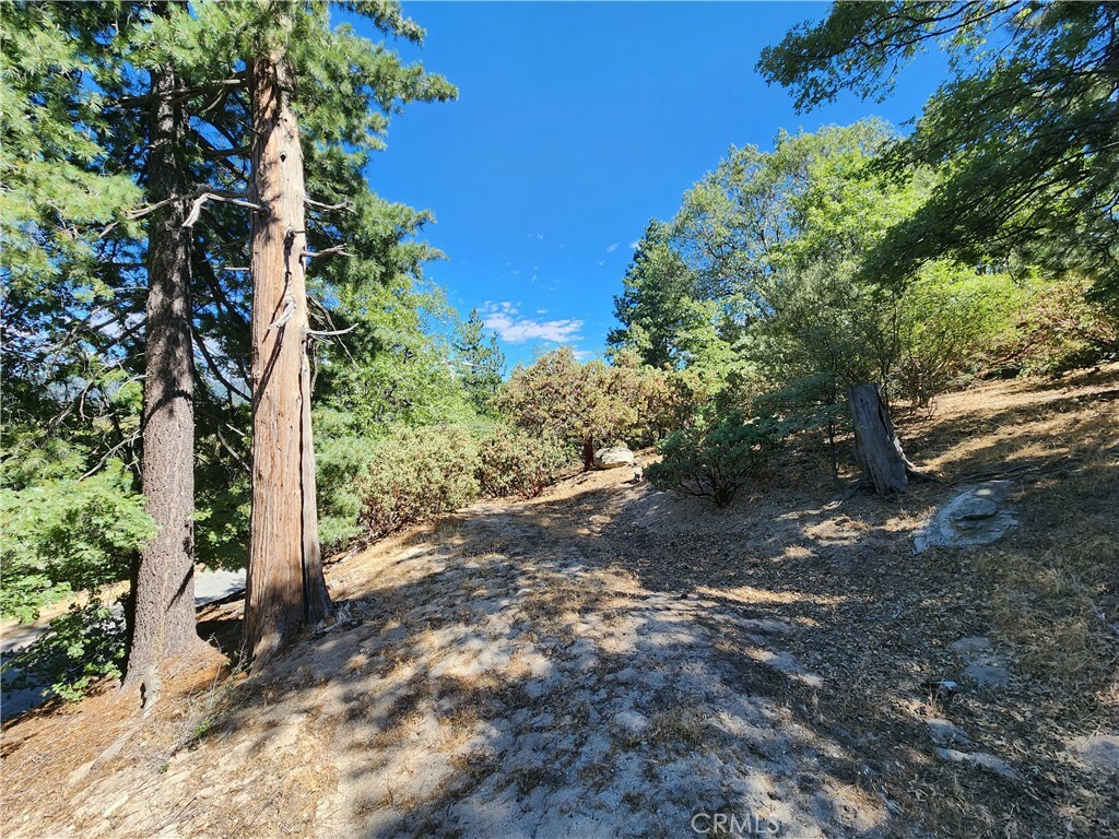 Property Photo:  203 Canyon View Drive  CA 92325 