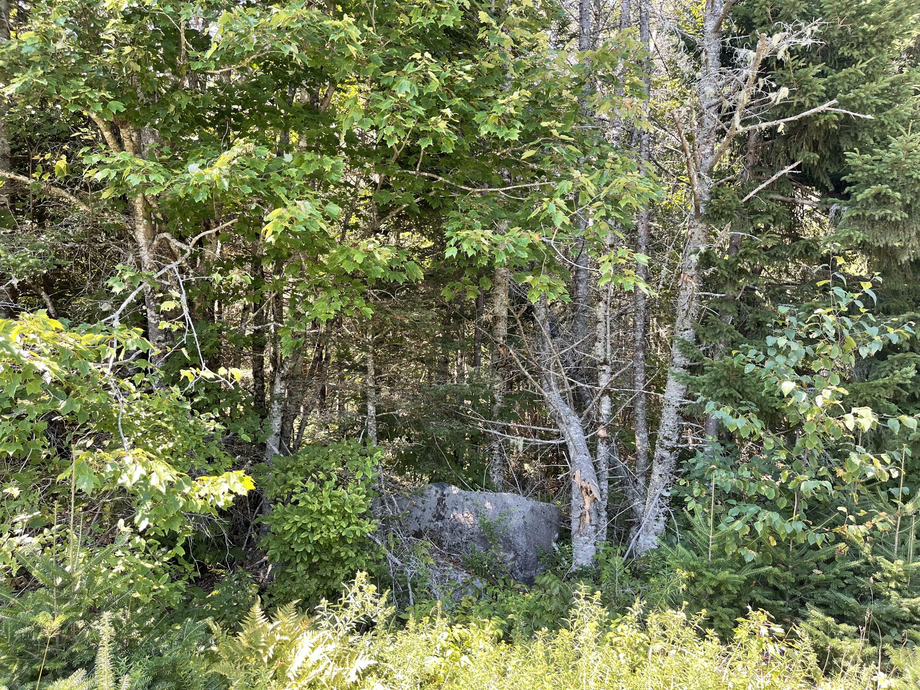 Property Photo:  Lot 10 Pidgeon Point Road  ME 04691 