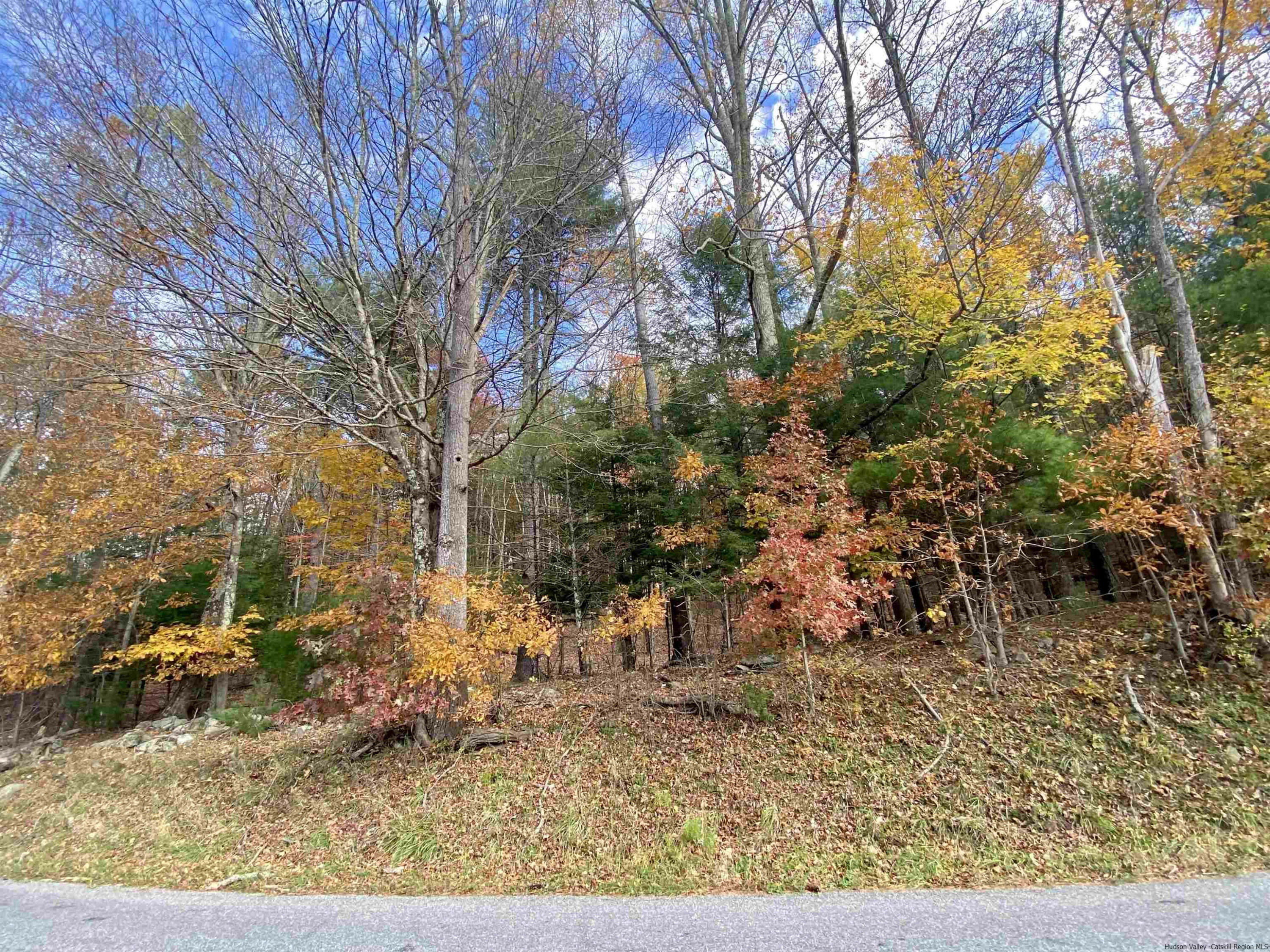 Property Photo:  Tbd Upper Cherrytown  NY 12404 