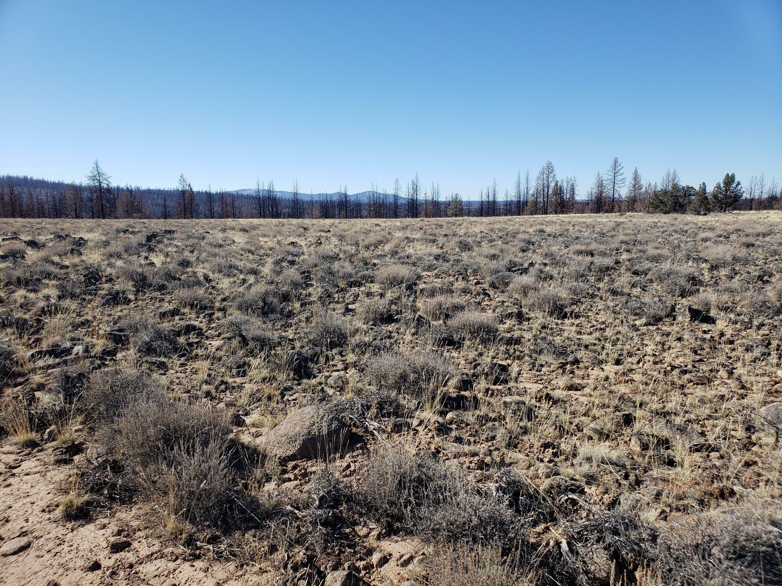 Property Photo:  Lot 3N White Fir Way  OR 97622 