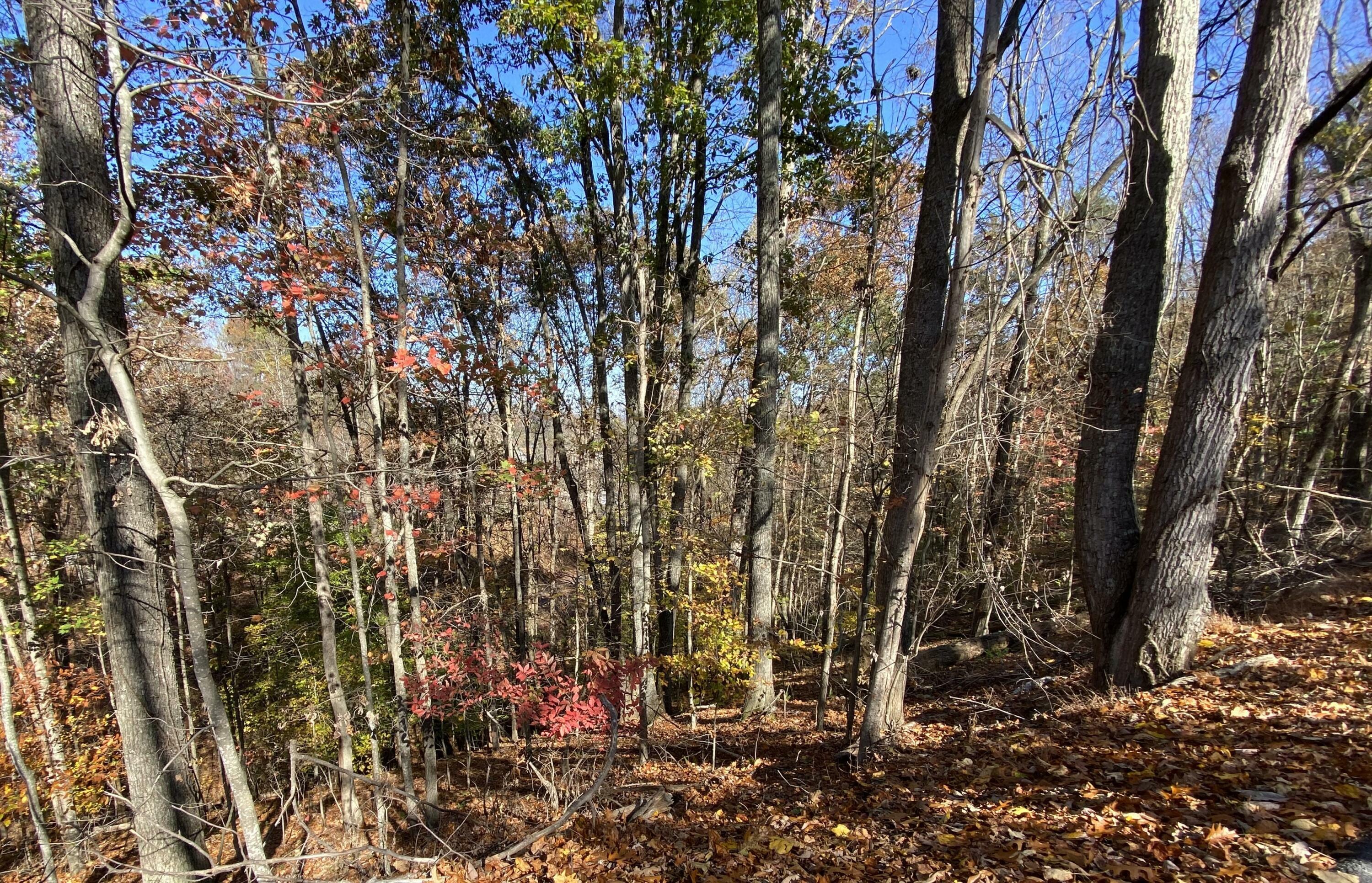 Property Photo:  Tbd Valley Road  TN 37617 
