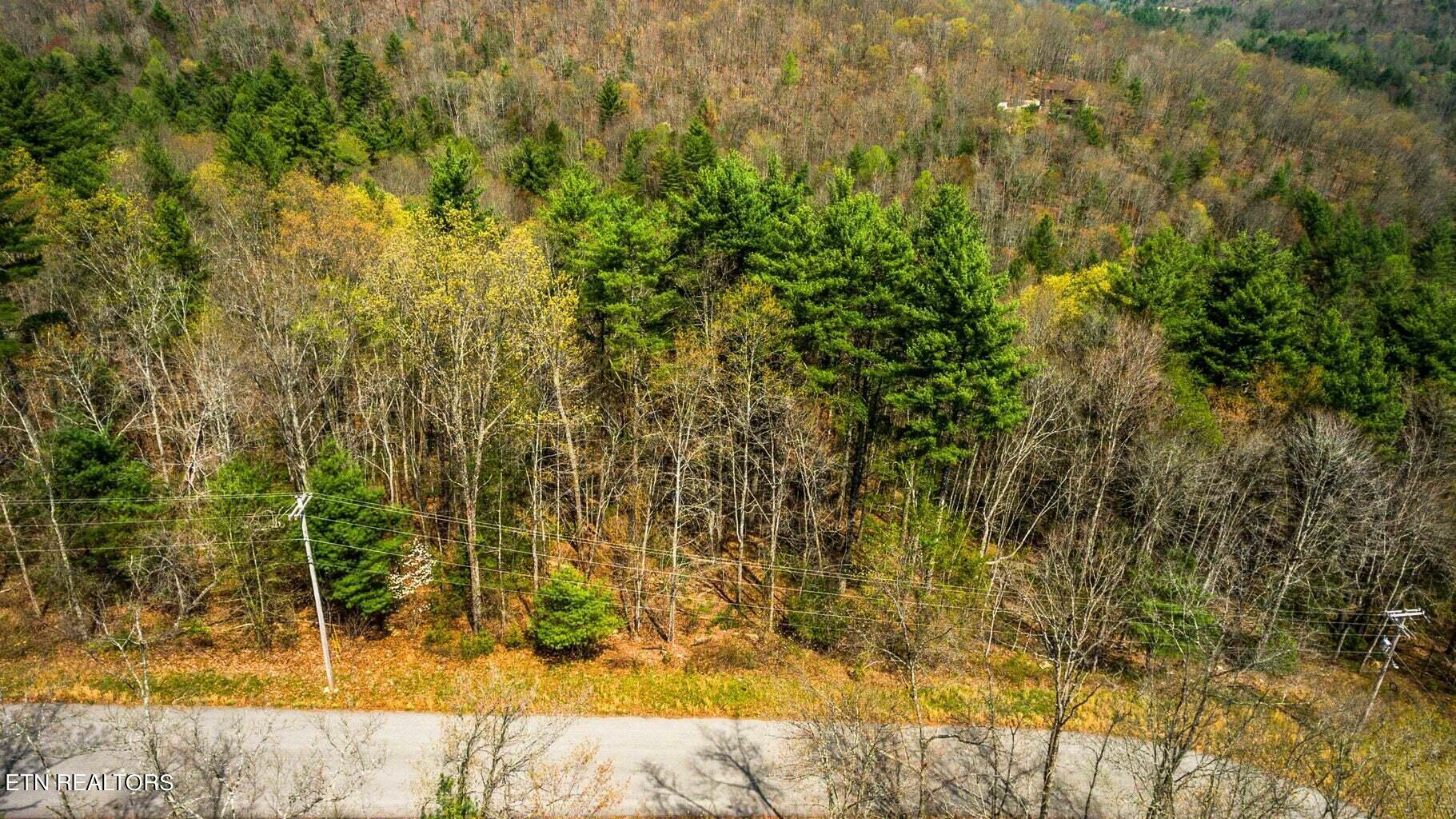 Property Photo:  Green Ridge Trail - Lot #2  TN 37748 