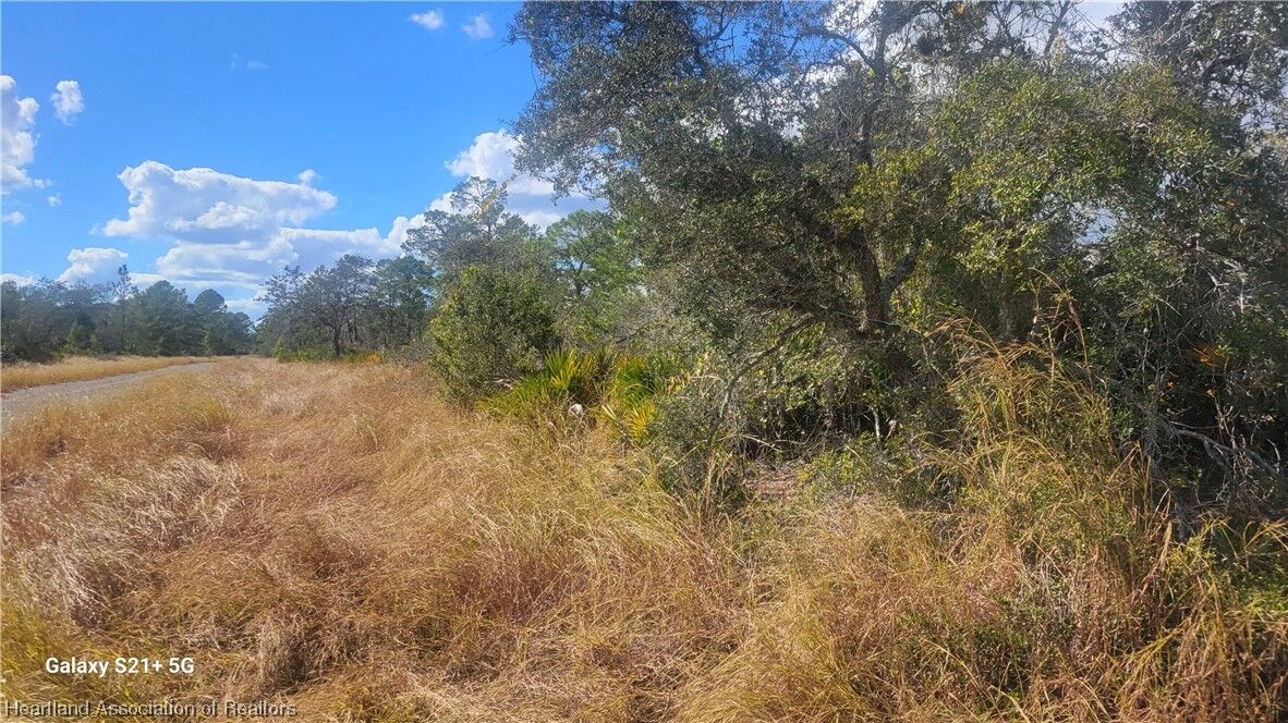 Property Photo: 3031 Cedar Hill Avenue FL 33852