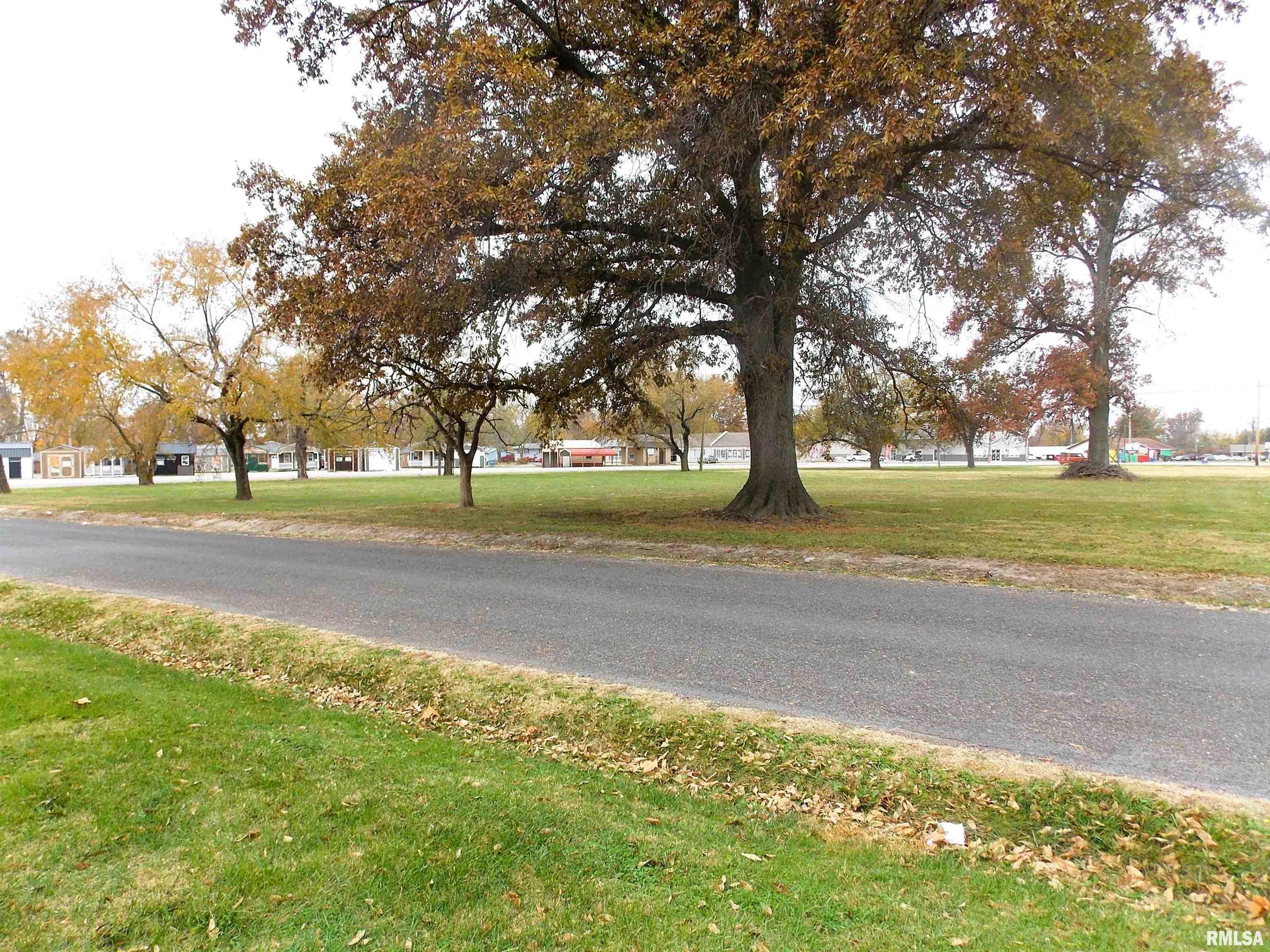 Property Photo:  36 Buena Vista Terrace  IL 62801 