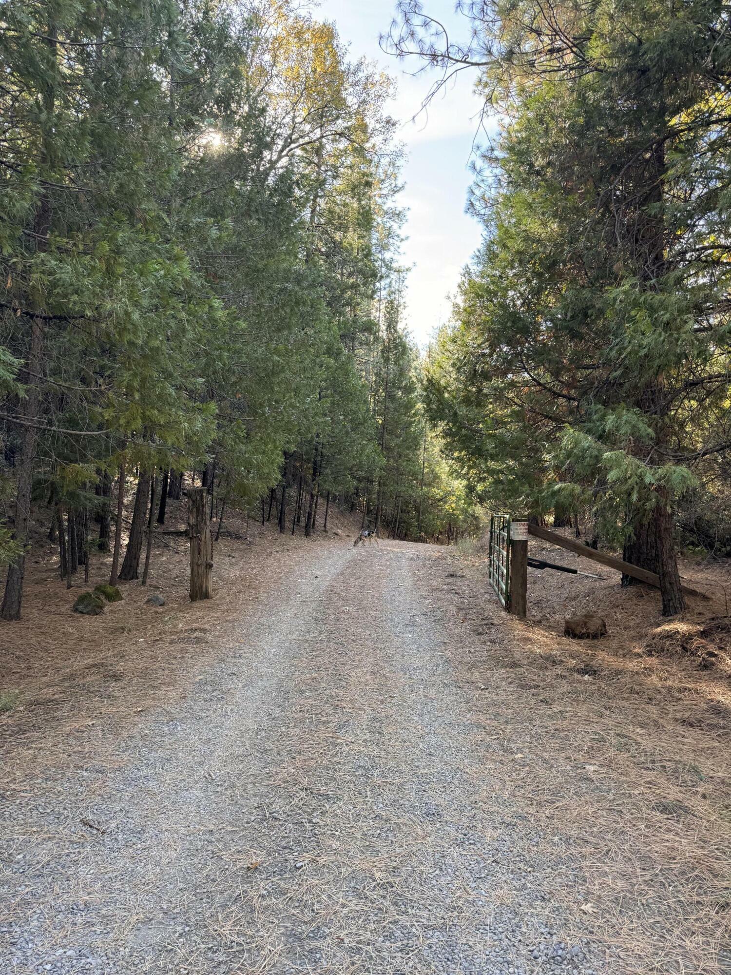 Property Photo:  Big Springs Rd.  CA 96069 