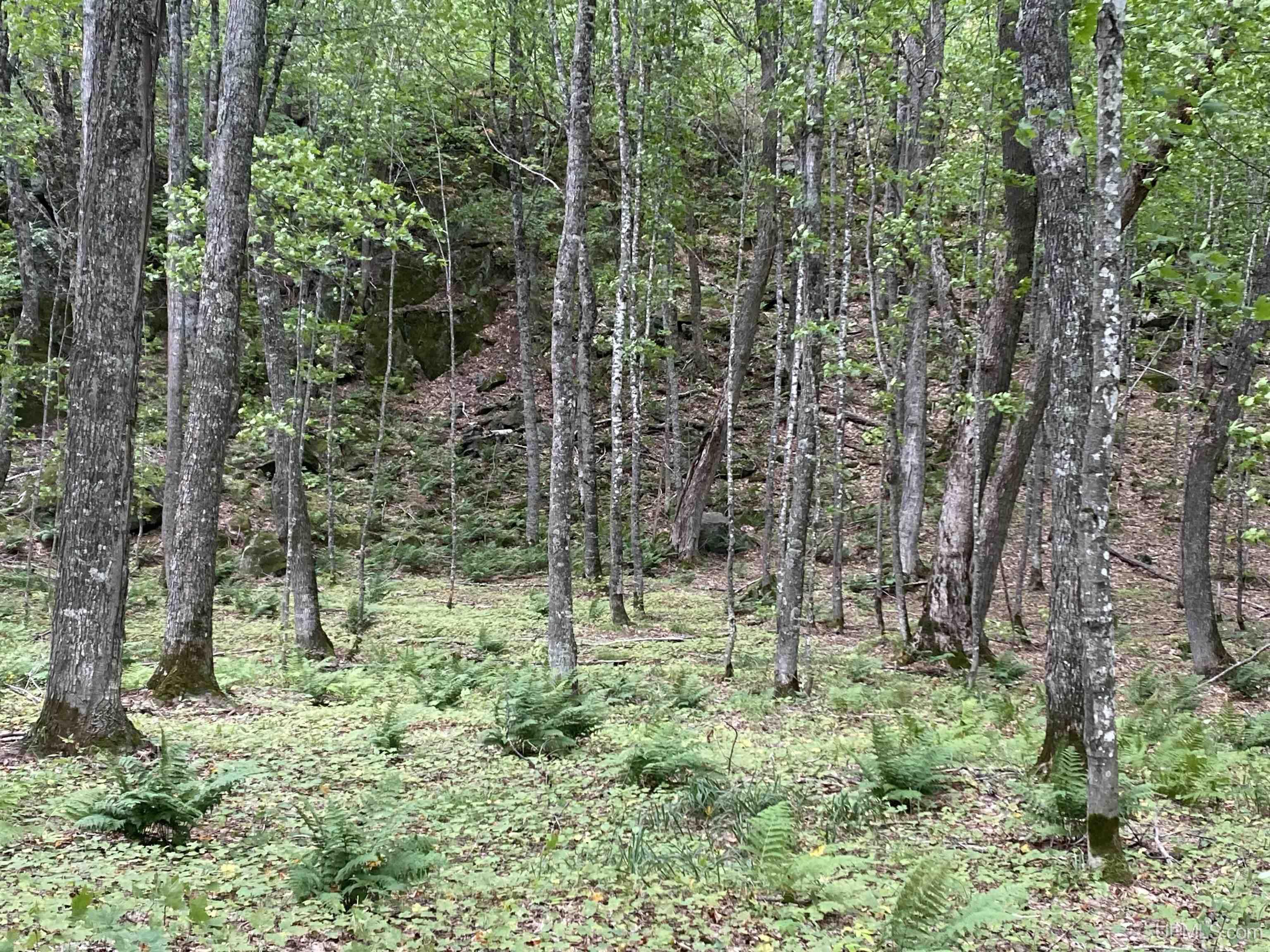 Photo de la propriété: Tbd Champion Township MI 49814-0000