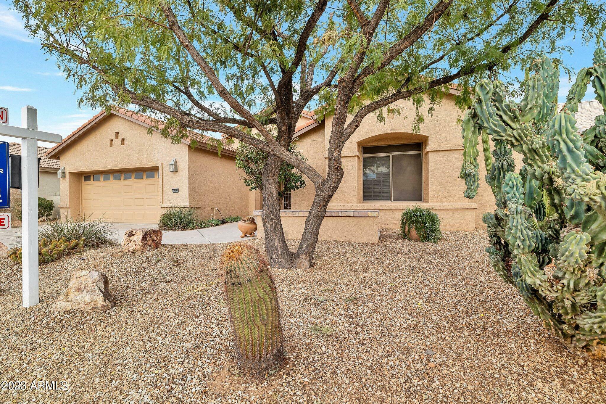 Property Photo:  14846 W Devlin Drive  AZ 85395 