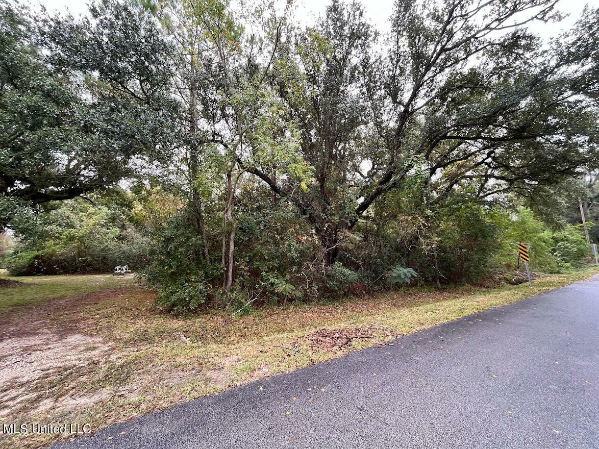 124 Old Pecan Grove Lane  Waveland MS 39576 photo