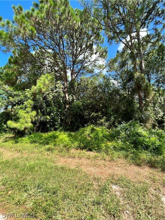 Property Photo:  216 Anderson St NE  FL 33852 