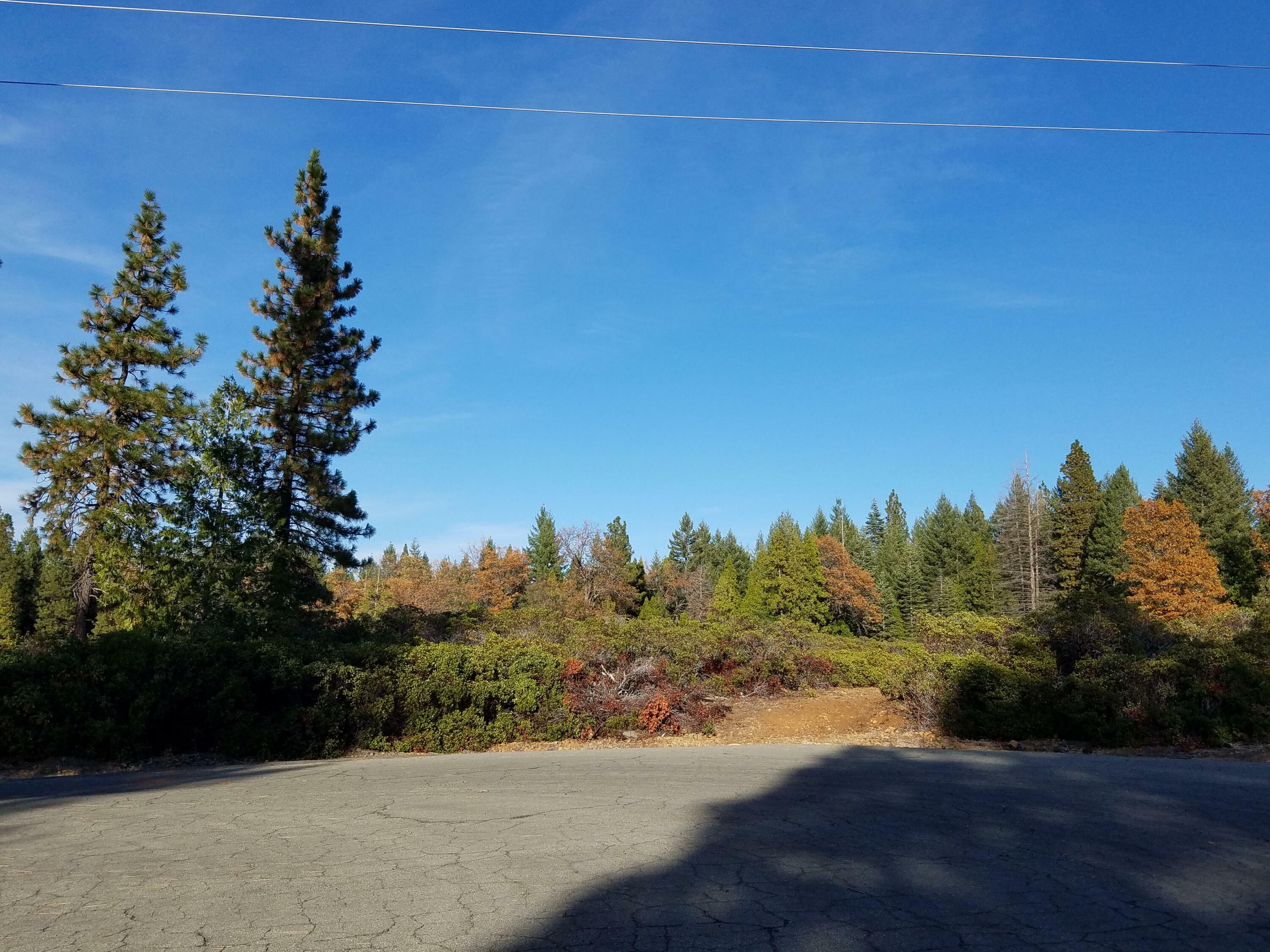 Property Photo: Lot 21 Twin Pine Drive CA 96088