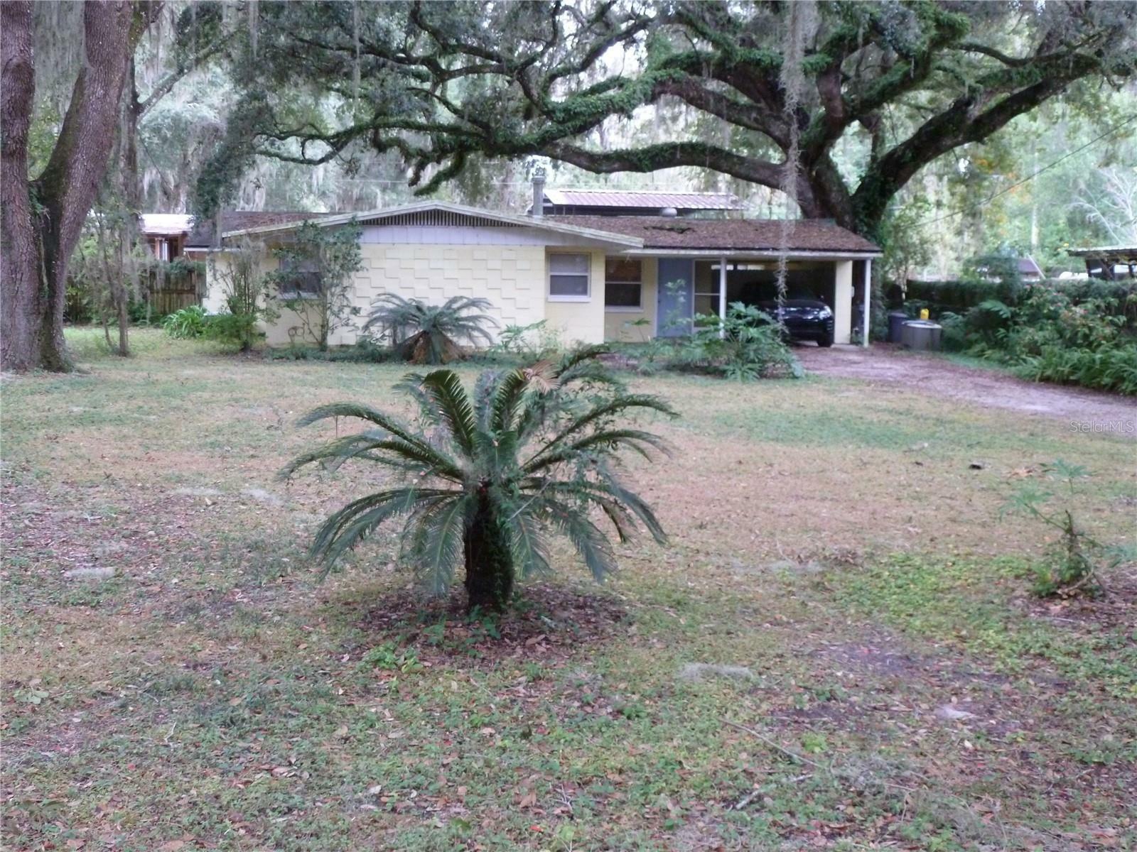 Property Photo:  240 SE 74th Street  FL 32641 