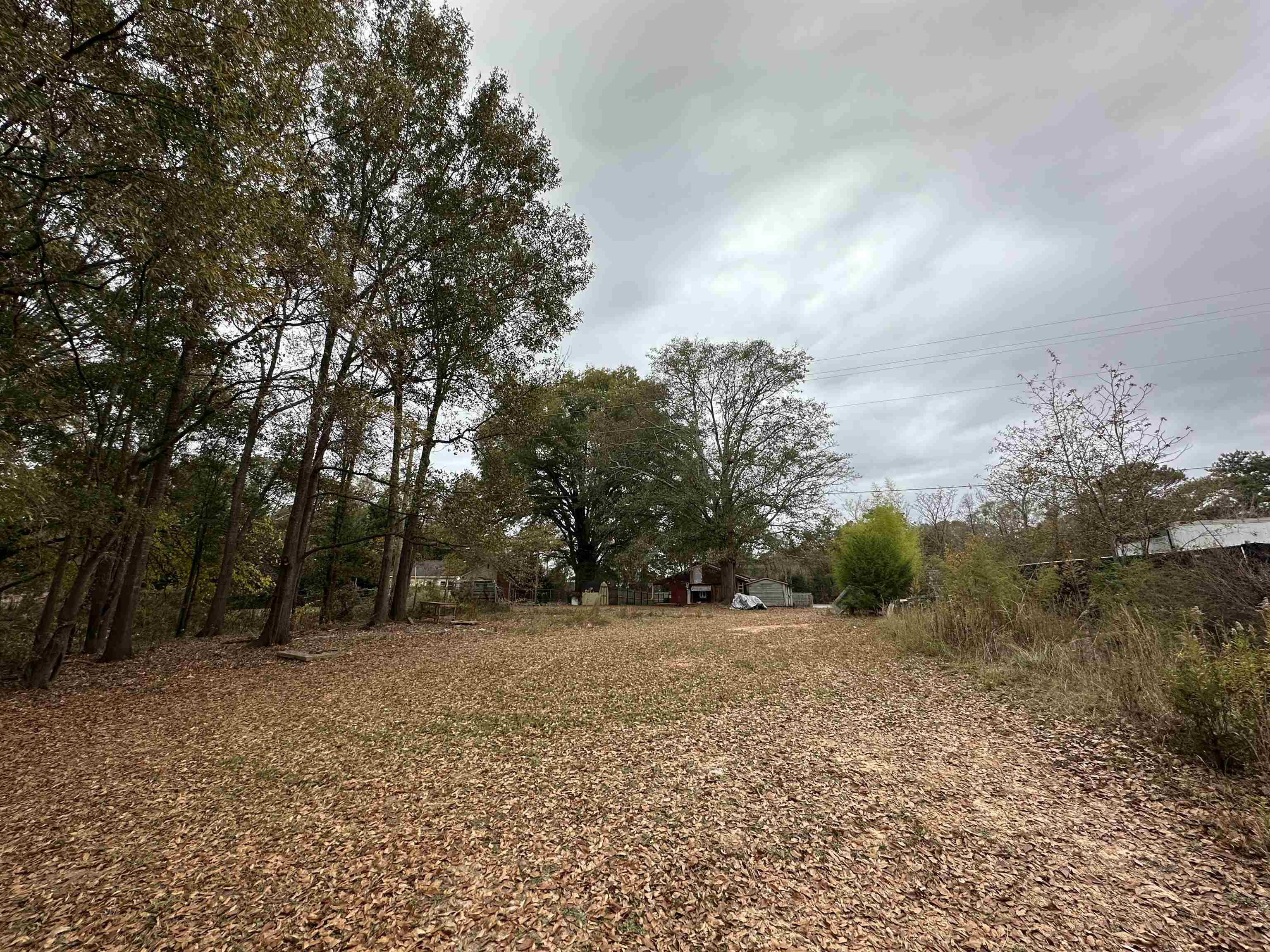 Property Photo:  11483 Highway 221  SC 29388 