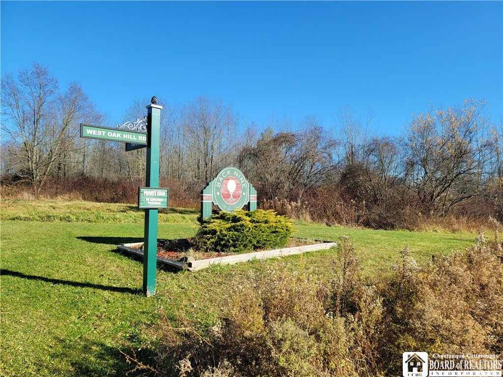Property Photo: 0 W Topo Lane Lot # 10 Road NY 14701