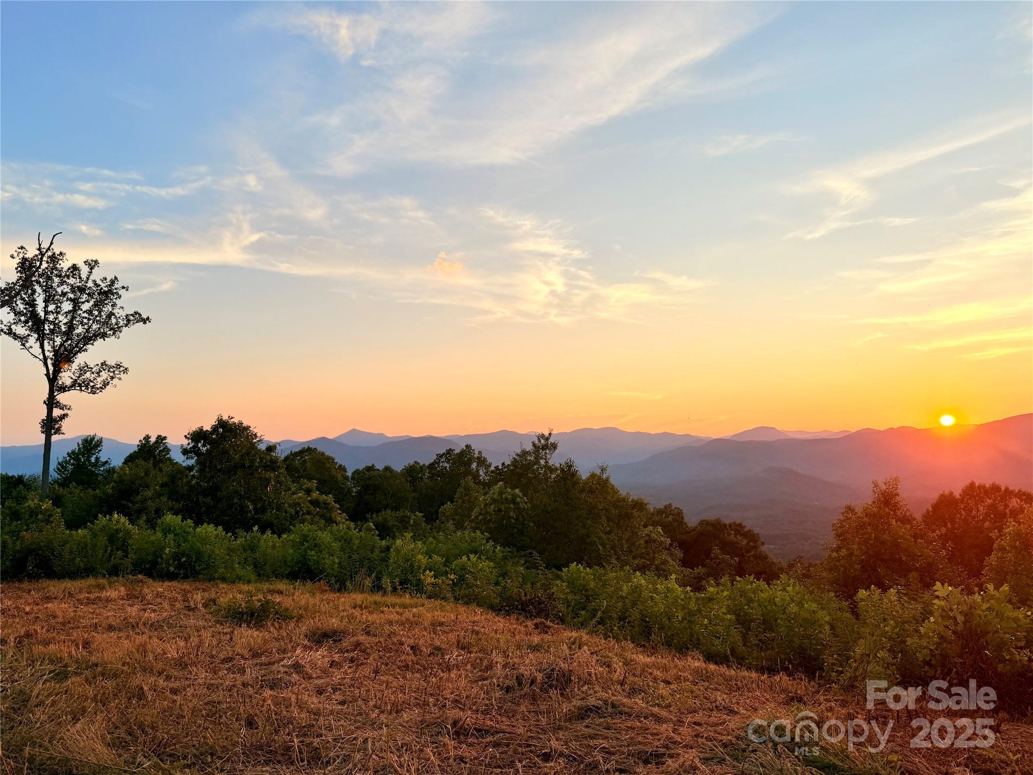 0 Shoal Ridge 5  Union Mills NC 28167 photo