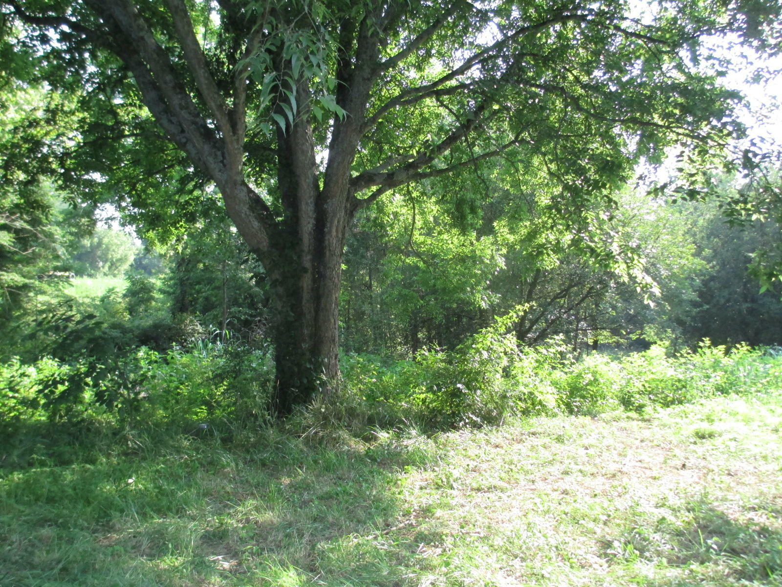 Property Photo:  00 Highway 11E  TN 37681 