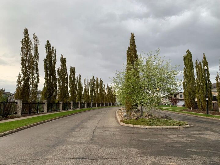 Property Photo:  7125 85 Street  AB T8X 0N8 