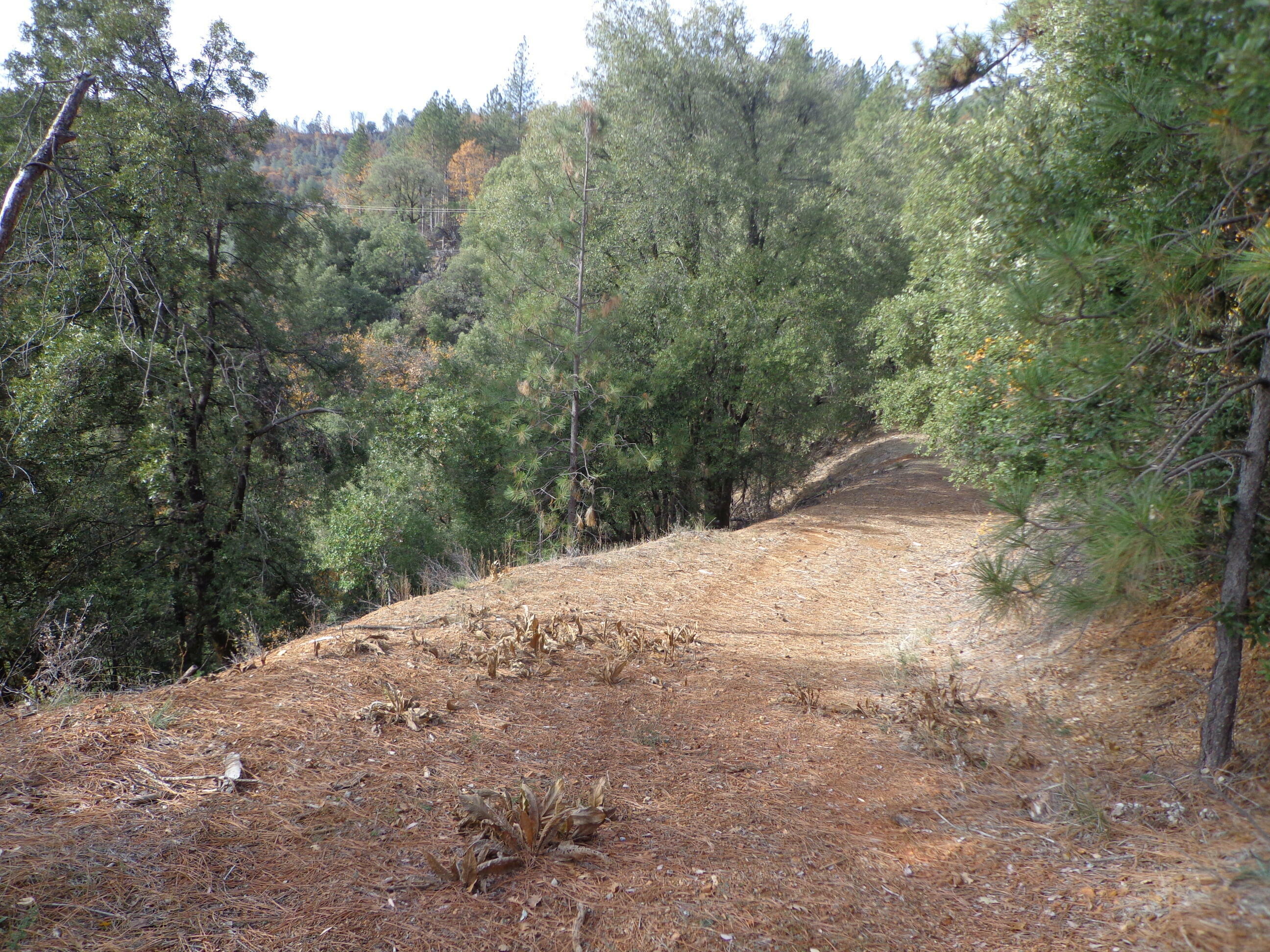 Property Photo:  Tawny Way  CA 96051 