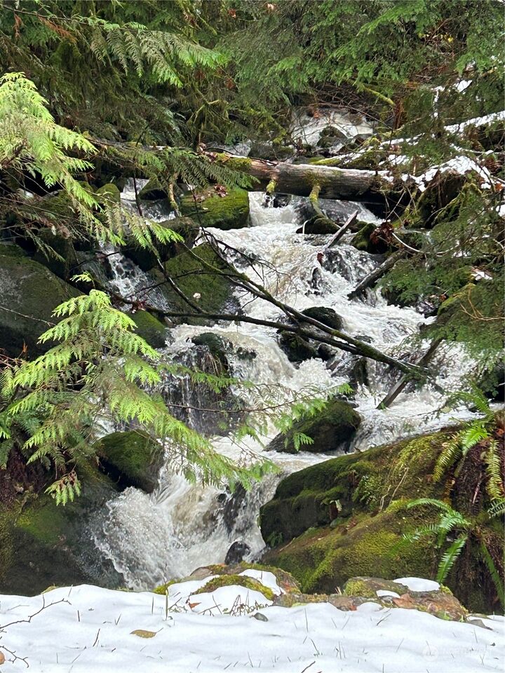 MLS2183825 0 Mount Index Drive, Index, WA 98256