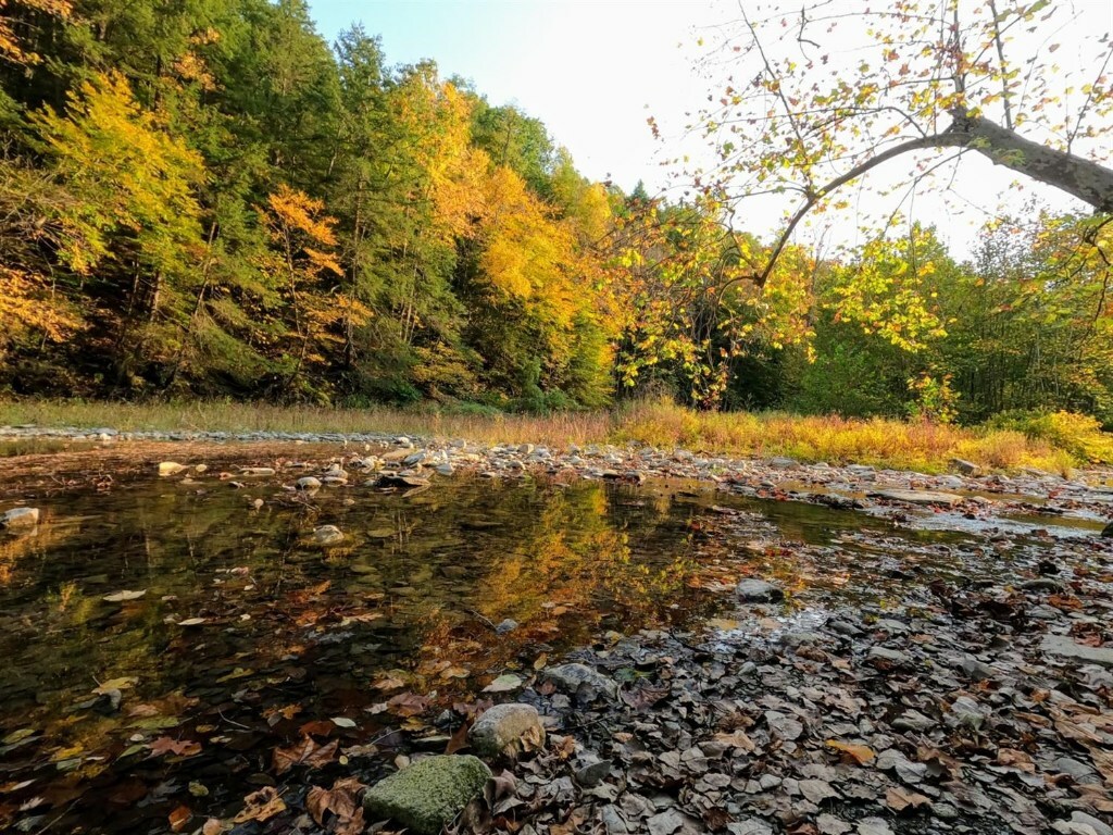 Property Photo:  17 Maple Avenue  NY  