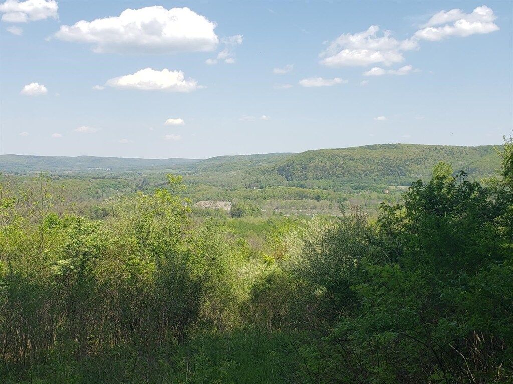 Property Photo:  0 Coddington Road  NY 14817 