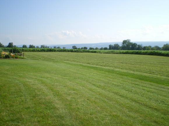 Property Photo:  0 Waterwagon Road  NY 14850 