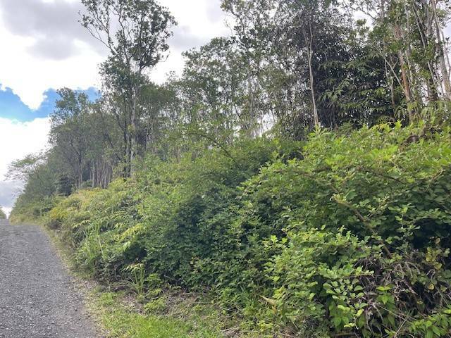 Property Photo:  Makoa Rd  HI 96785 