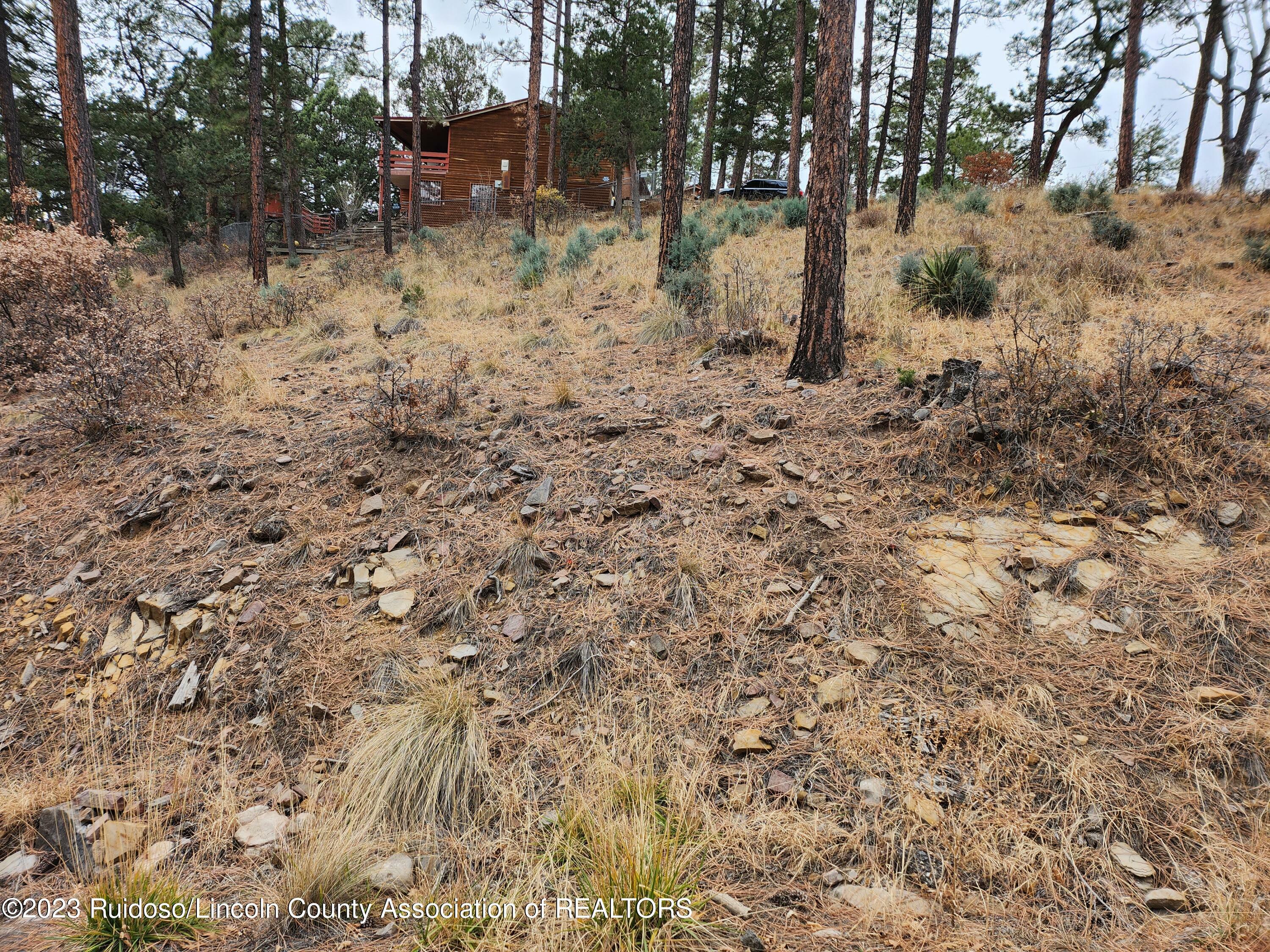 Property Photo:  138 King Richard Drive  NM 88345 