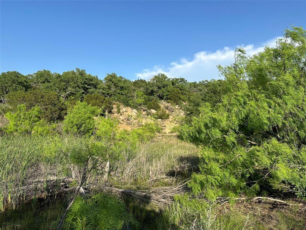 Property Photo:  5730 Gobbler Hollow  TX 76801 