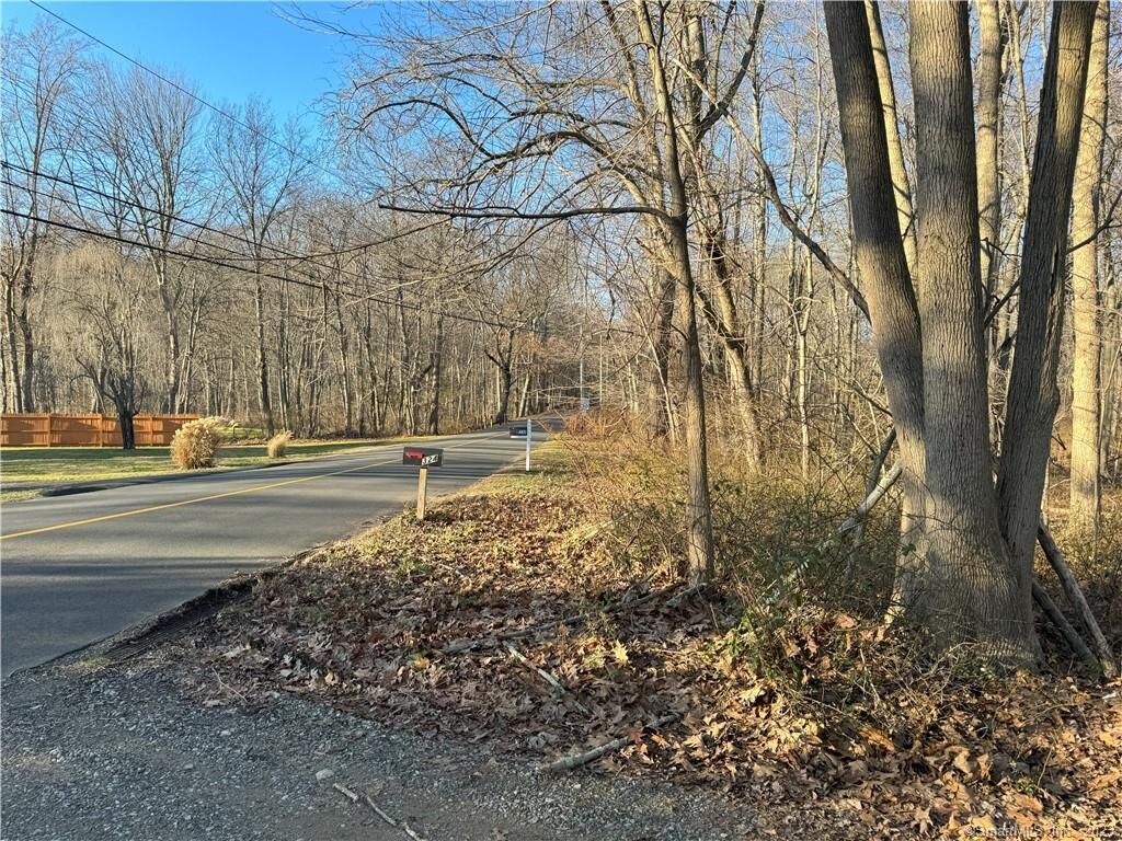 Property Photo:  335 Dogburn Lane  CT 06477 