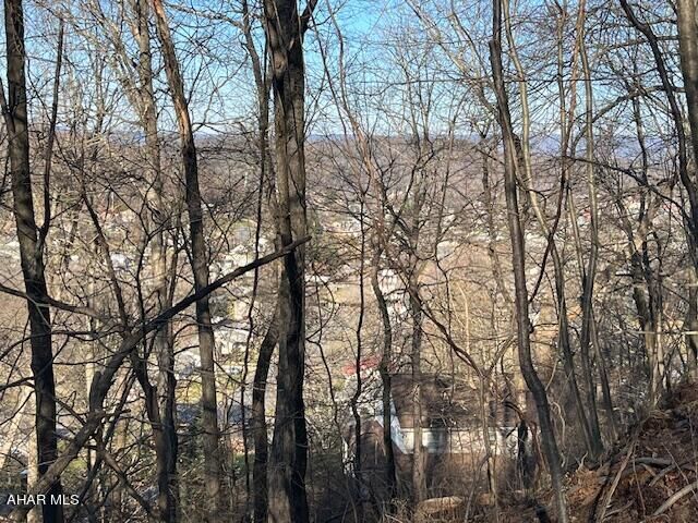 200 Oak Ridge Ave.  Bedford PA 15522 photo