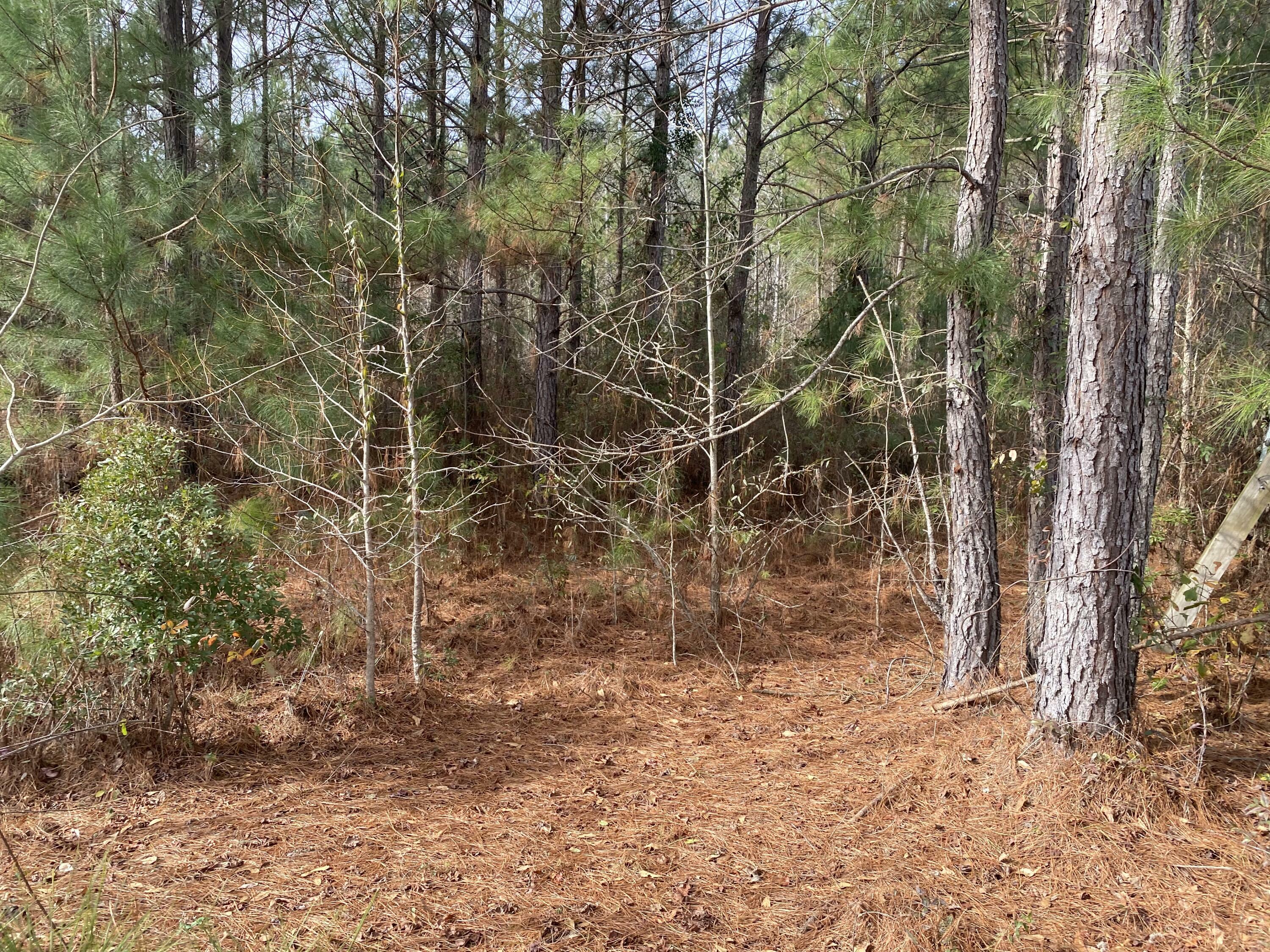 Property Photo:  0 Adams-Reeves Road  GA 30808 