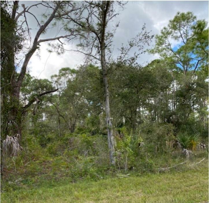 Property Photo: 487 Halloran Street FL 33953