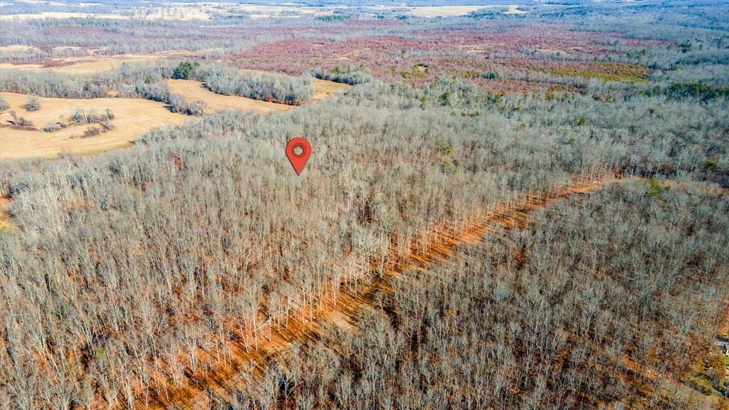 11.49 Ac Off Stanley Hood Rd  Crossville TN 38571 photo