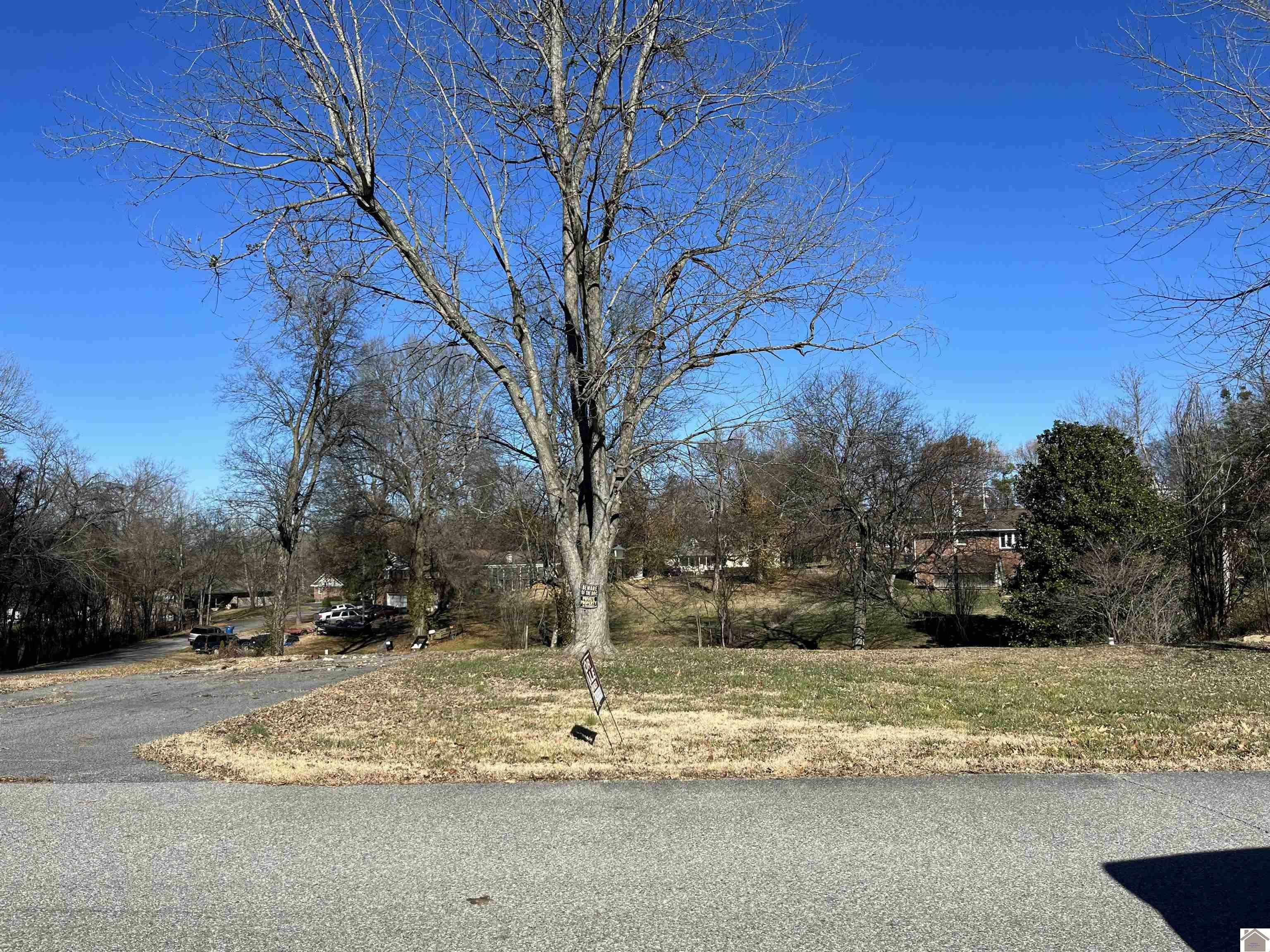 Property Photo:  245 Myrna Drive  KY 42003 