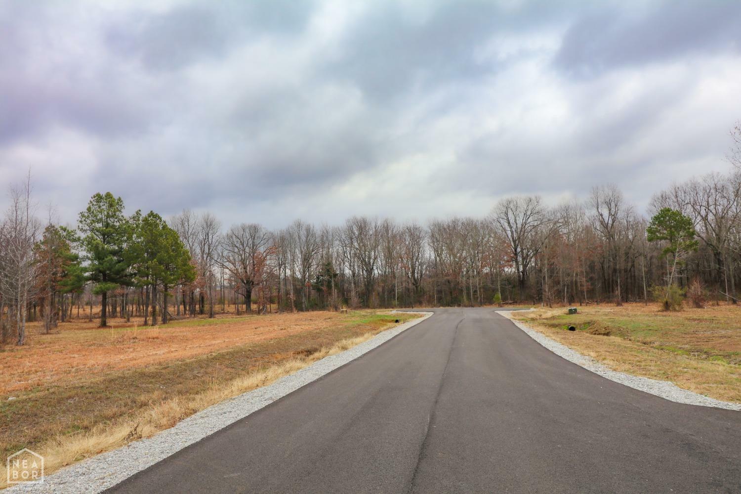 0 Diamond Valley Estates  Jonesboro AR 72404 photo