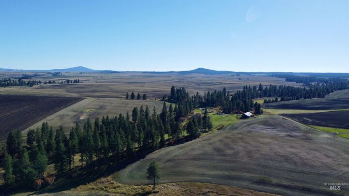 Tbd Herrick Rd  Craigmont ID 83523 photo