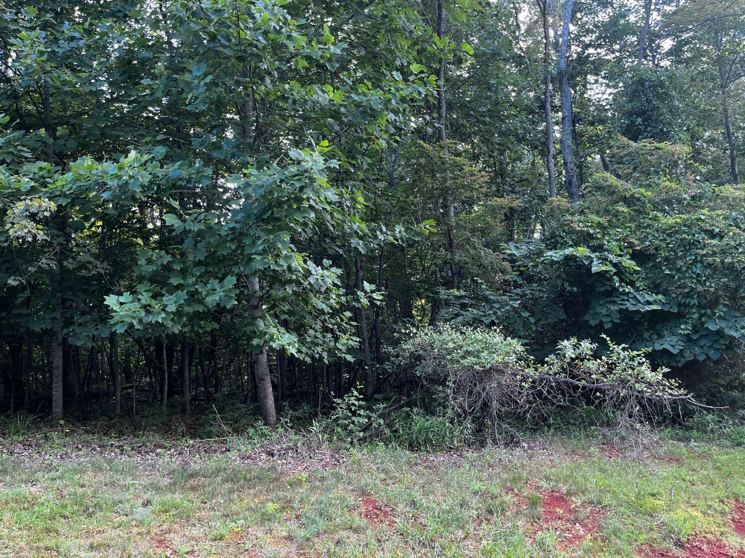 Property Photo:  0 Bay View Road  VA 24571 